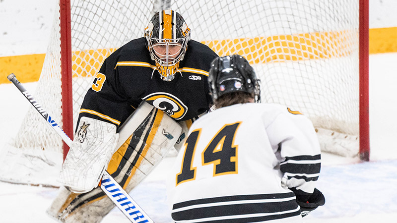 Hockey team players at the goal